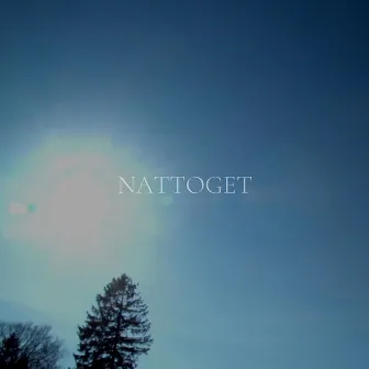 Nattoget by Karen Troldborg