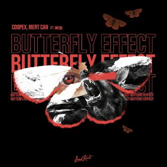 Butterfly Effect by Mert Can