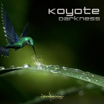 Darkness by Koyote