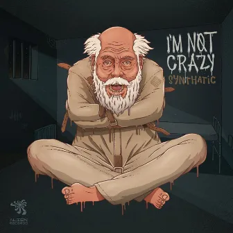 I'm Not Crazy by Synthatic