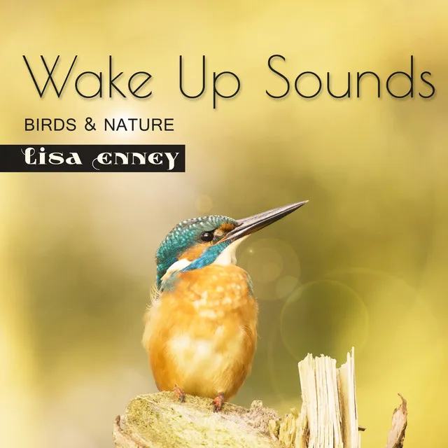 Wake Up Sounds (Birds & Nature)