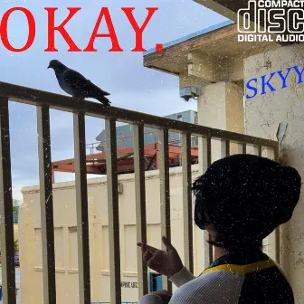 OKAY (SKYY Remix) by Skyy