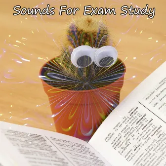 Sounds For Exam Study by Study Hard