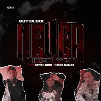 Never Liked You by Gutta Boi