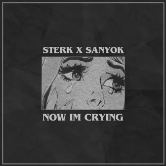 Now Im Crying by SANYOK