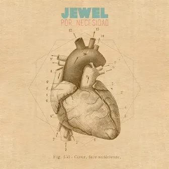 Por necesidad (2013) by Jewel One Love