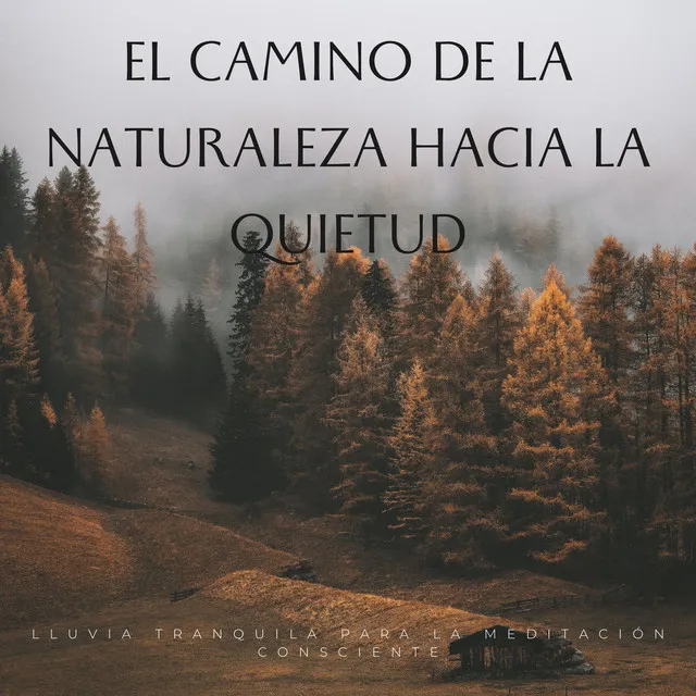 El Camino De La Naturaleza Hacia La Quietud: Lluvia Tranquila Para La Meditación Consciente