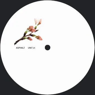 Asphalt by Unit 21