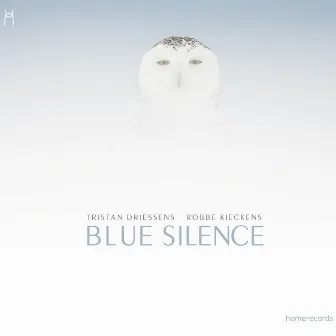 Blue Silence by Tristan Driessens