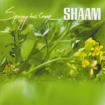 Spring Has Come by Shaam