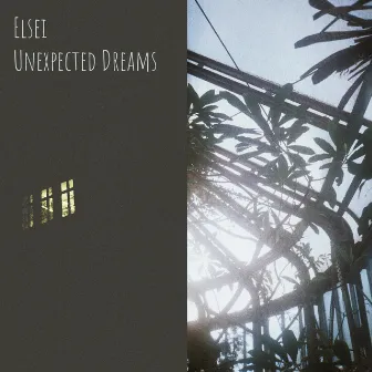 Unexpected Dreams by Elsei