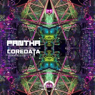 Pantha by Coredata