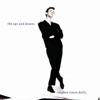 The Ups And Downs by Stephen Duffy