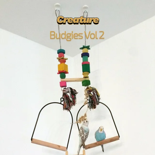 Budgies XXVI (Vol II)