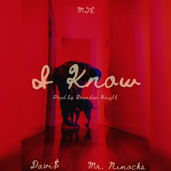 I Know by DAVI$