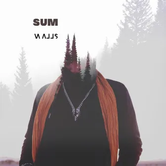 Walls by Sum