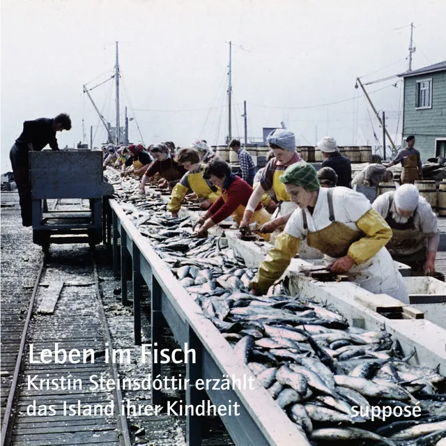 Leben im Fisch (Kristín Steinsdóttir erzählt das Island ihrer Kindheit)