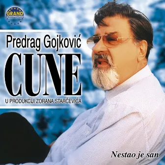 Nestao Je San by Predrag Gojkovic Cune