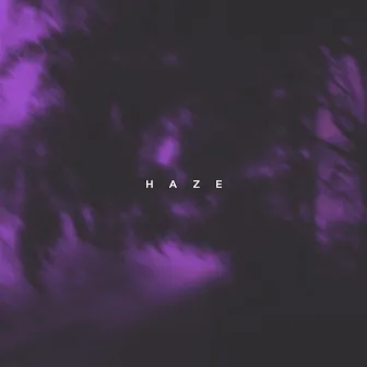 Haze by Fabian Secon