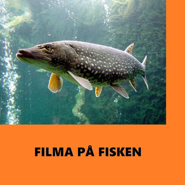 Filma På Fisken