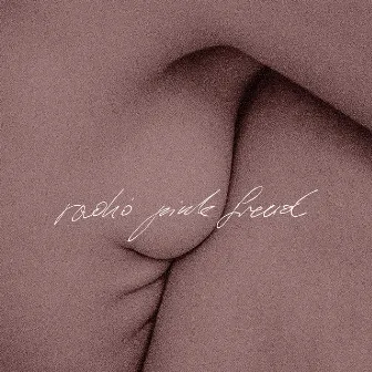 Radio Pink Freud by Pink Freud