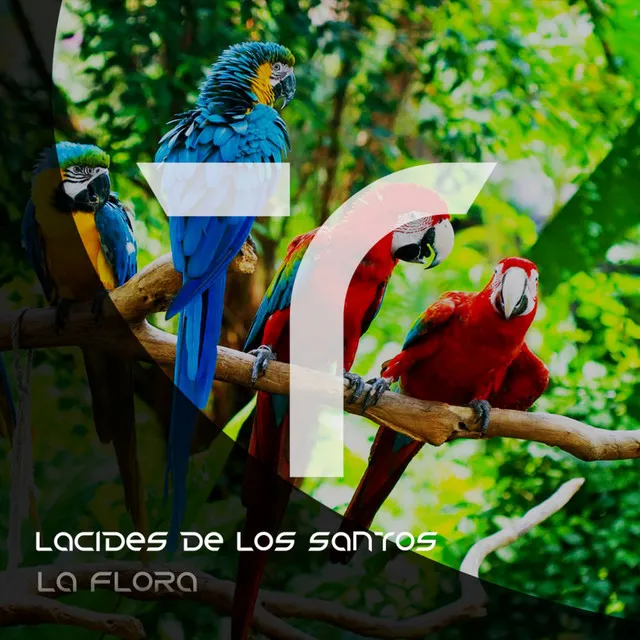 LA FLORA - Original Mix