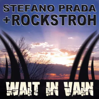 Wait In Vain by Stefano Prada