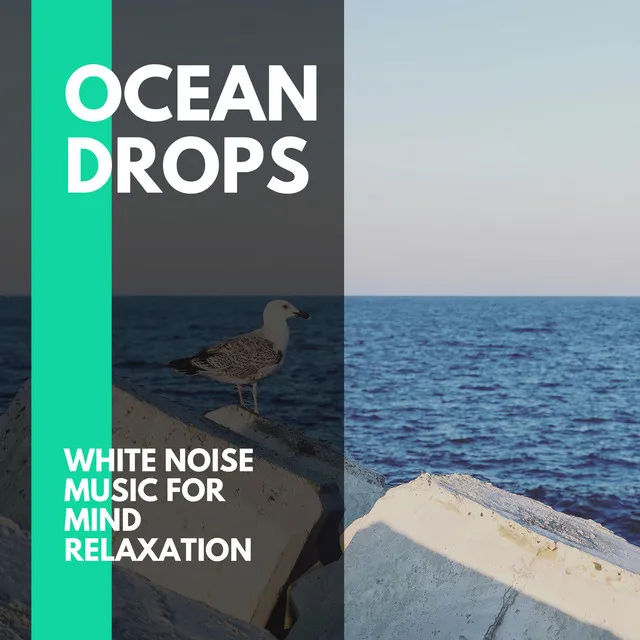 Large Ocean Waves Audio