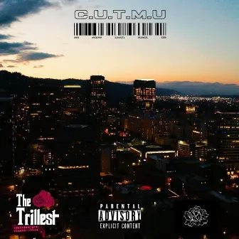 Trilluxe: The Additional Tracks by Aaron Westside