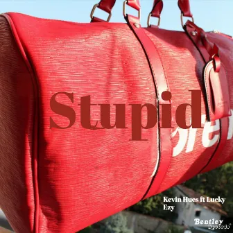 Stupid by 