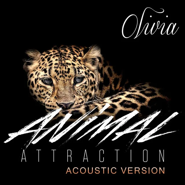 Animal Attraction (Acoustic Version)