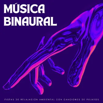 Música Binaural: Pistas De Relajación Ambiental Con Canciones De Pájaros by Paisajes Binaurales