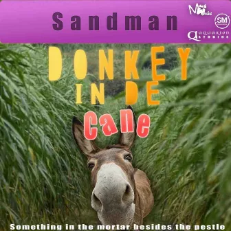 Donkey in De Cane by Sandman