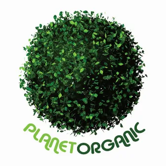 Planet Organic by Paul Cuddeford,Simon Edwards