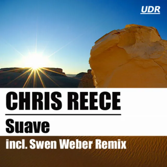 Suave (Helvetic Nerds Remix)