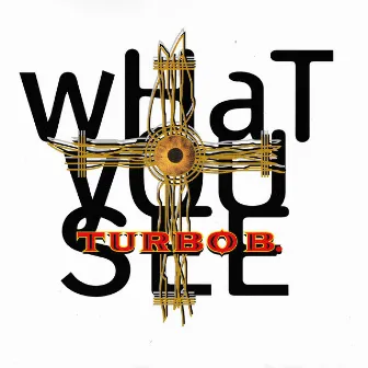 What You See by Turbo B.