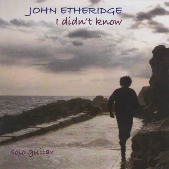 I Didn't Know by John Etheridge