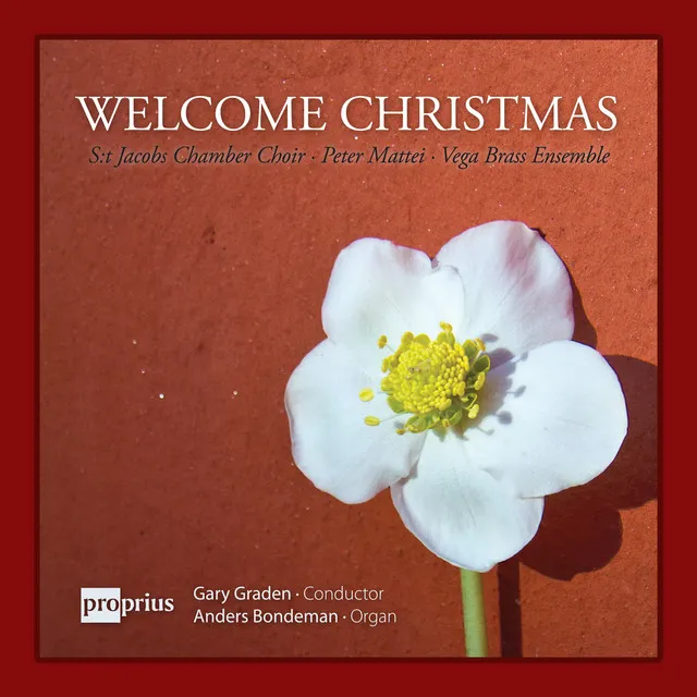 We Wish You a Merry Christmas (Arr. J. Rutter)