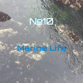 Marine Life by Ne10