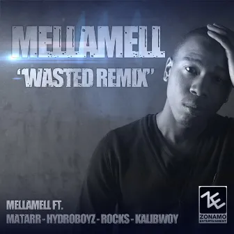 Wasted - Remix by Mellamell