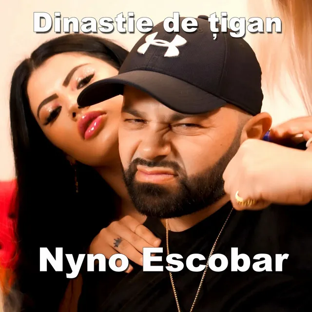 Dinastie de tigan