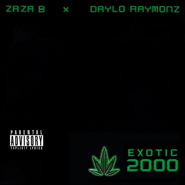 Exotic 2000