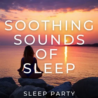 Soothing Sounds for Sleep by Sleep Party