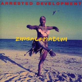 Zingalamaduni by Arrested Development