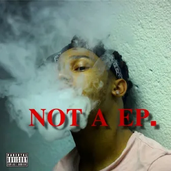 Not a EP by Loopie Loon