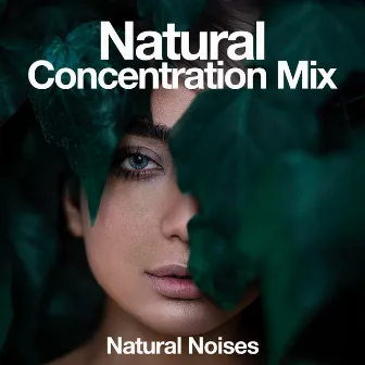 Natural Concentration Mix by Natural Noises