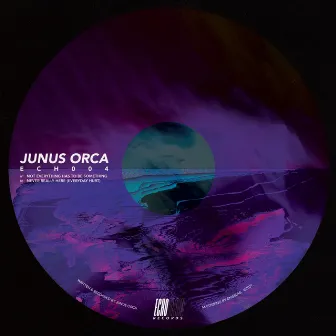 Not Everything Has To Be Something/Never Really Here (Everyday Hurt) by Junus Orca