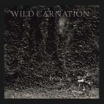 Tricycle (Expanded Edition) by Wild Carnation