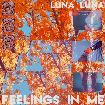 Feelings in Me by Luna Luna