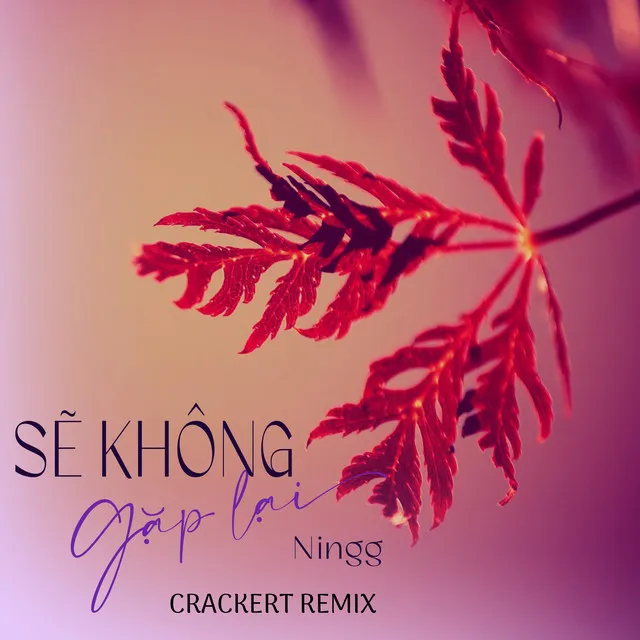 Sẽ Không Gặp Lại (CrackerT Remix)